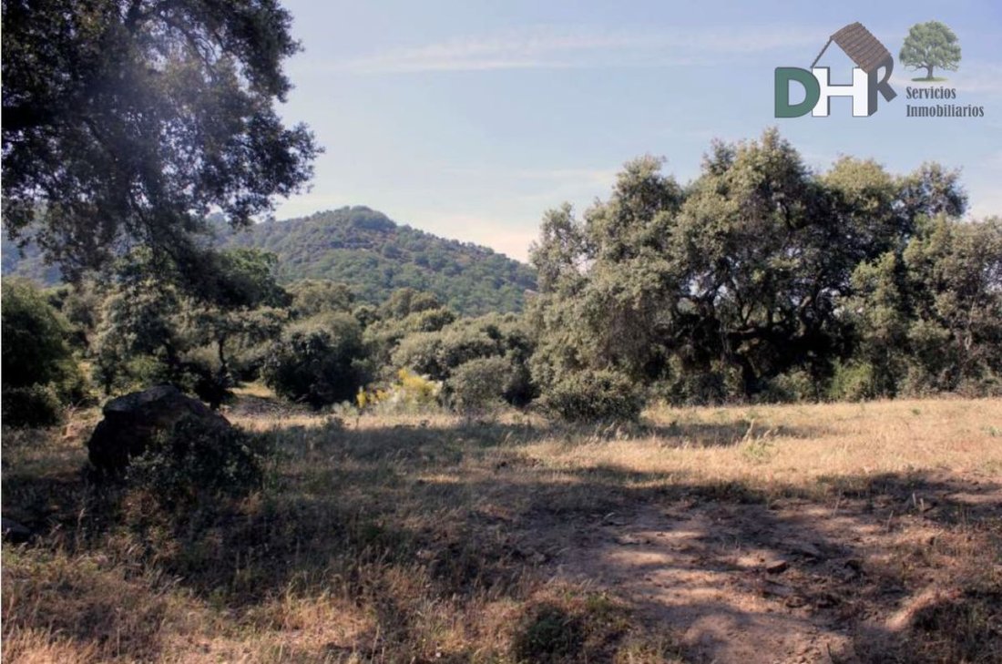 Land in Cáceres, Extremadura, Spain 1 - 13111448