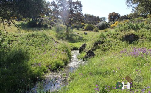 Terreno a Navalmoral de la Mata, Estremadura, Spagna 1