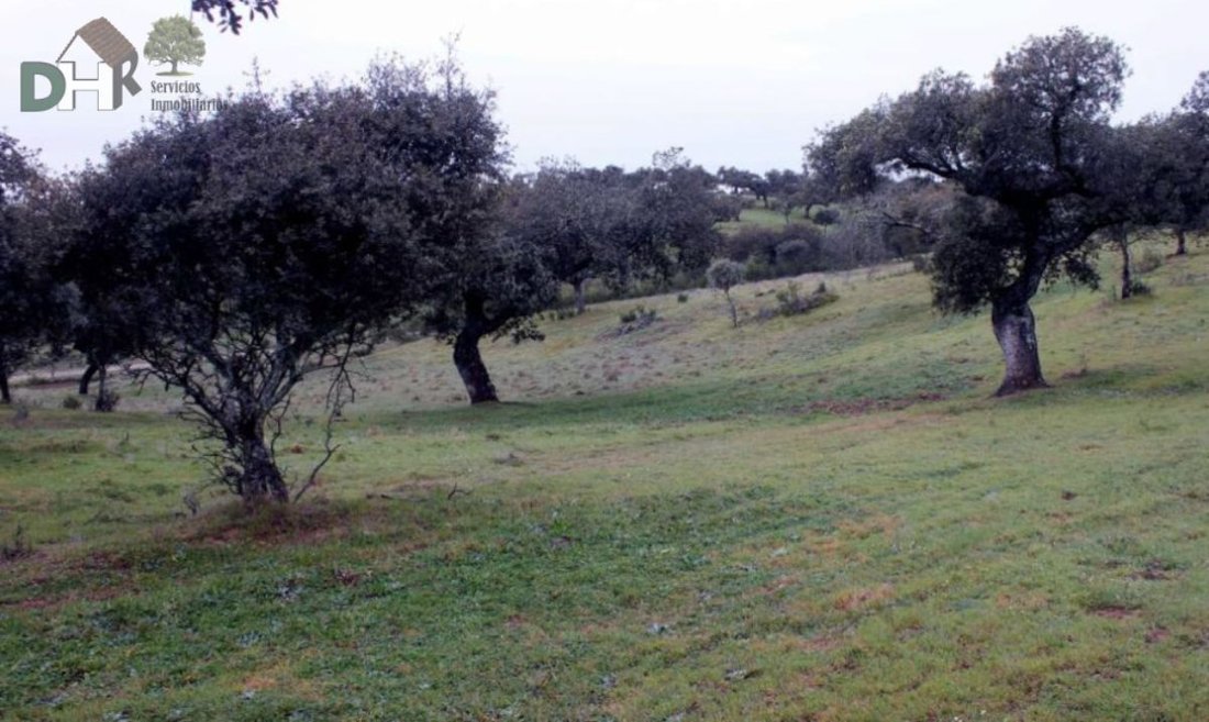 Land in Cáceres, Extremadura, Spain 4 - 13111356