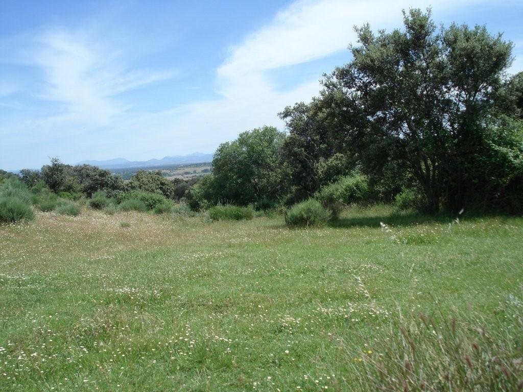 Land in Cáceres, Extremadura, Spain 2 - 14967069