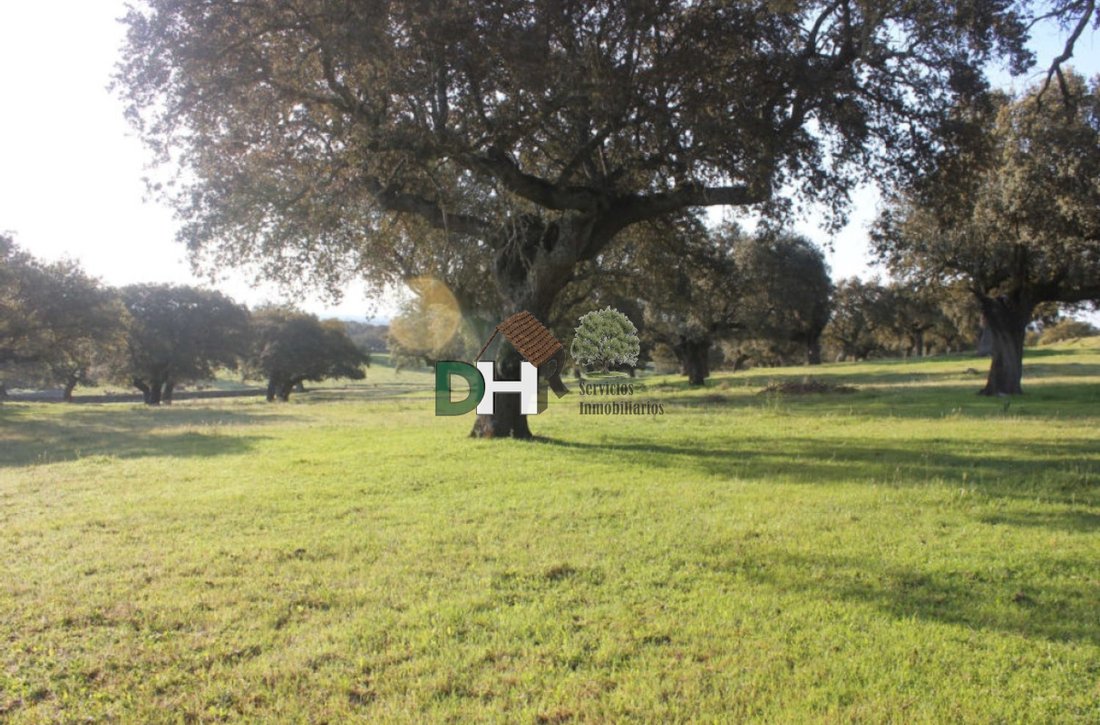 Land in Cáceres, Extremadura, Spain 2 - 13111469