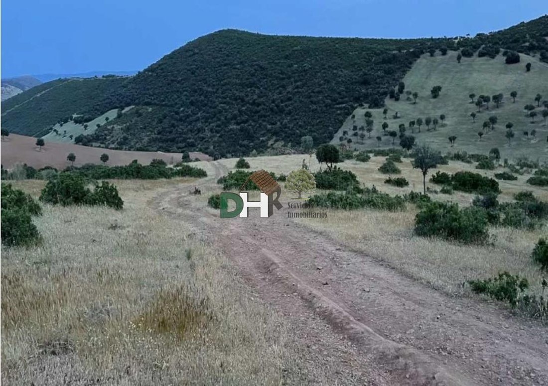 Land in Ciudad Real, Kastilien-La Mancha, Spanien 2 - 15305380