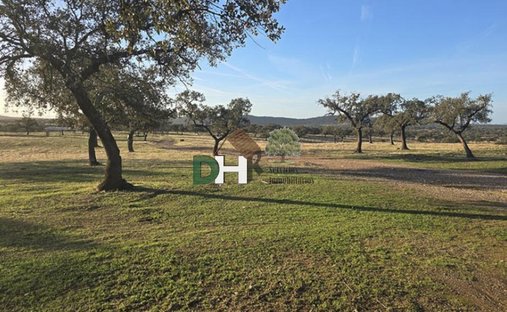 Terreno a Badajoz, Estremadura, Spagna 1