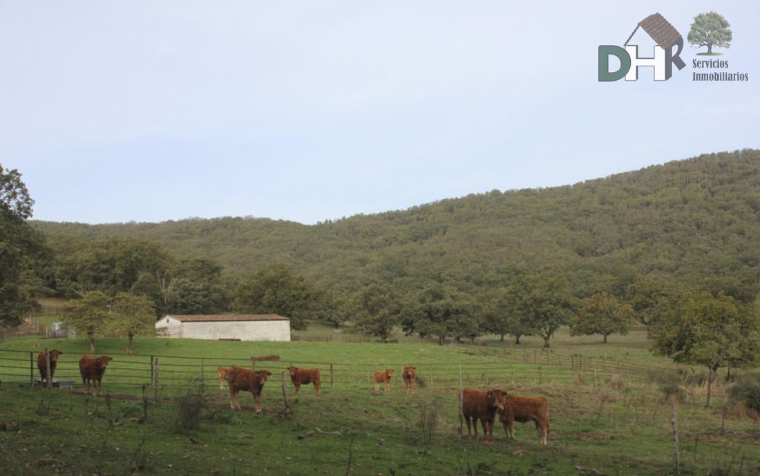 Land in Cáceres, Extremadura, Spain 2 - 13111463