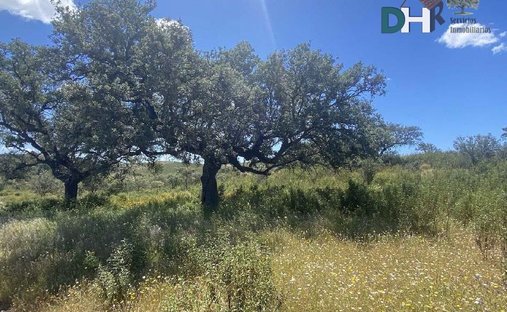 Terrain à Huelva, Andalousie, Espagne 1