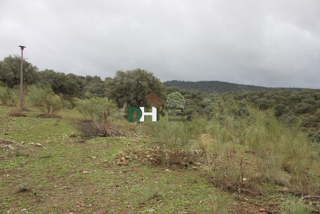 Land in Cáceres, Extremadura, Spain 5 - 13438644