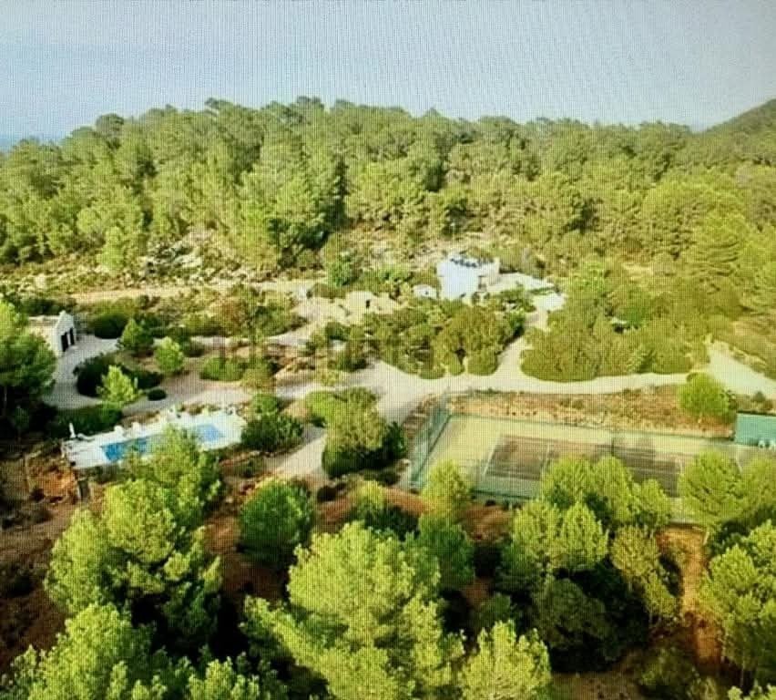 Villa in Ibiza Town, Balearic Islands, Spain 4 - 17470232