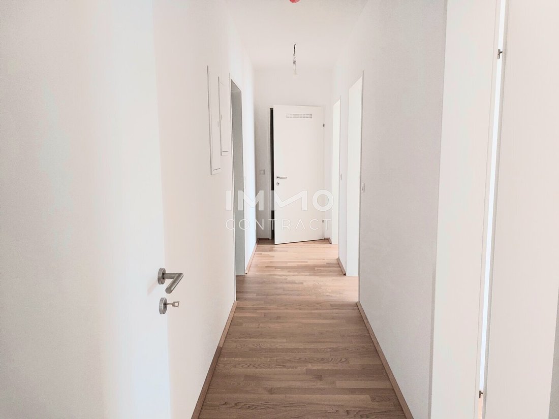 Penthouse in Lanzendorf, Lower Austria, Austria 5 - 17469845