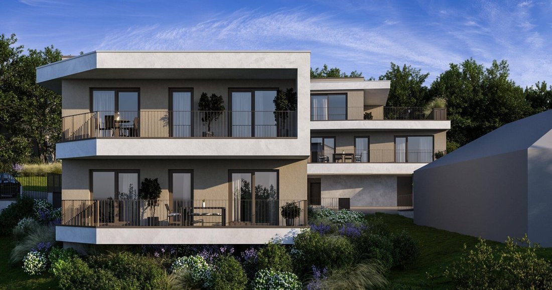 Apartment in Thalheim bei Wels, Upper Austria, Austria 4 - 17469862