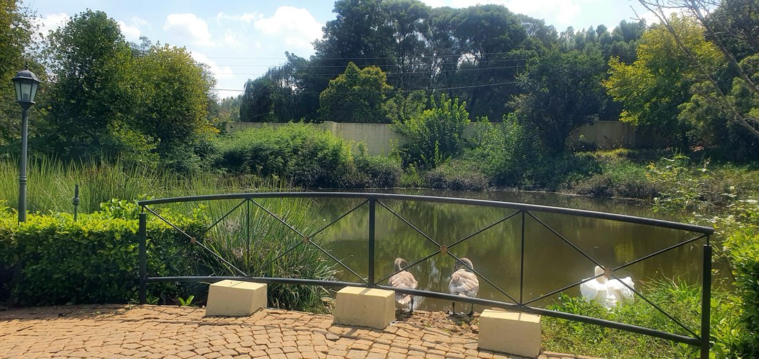 Villa à Woodhill Golf Estate, Gauteng, Afrique du Sud 3 - 17470066