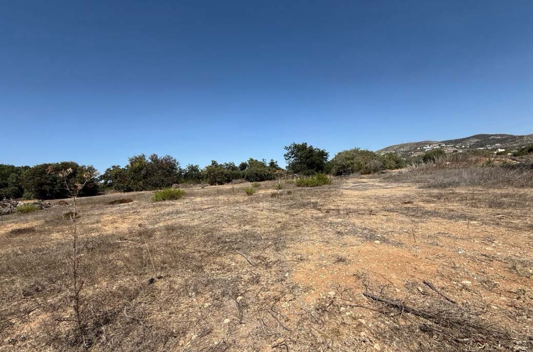 Land in Tremithousa, Paphos, Cyprus 4 - 17469968