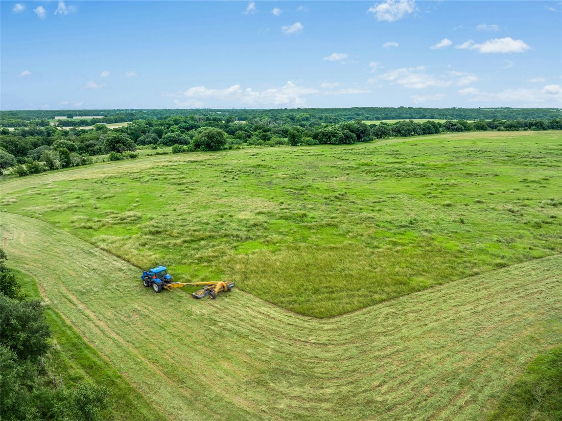 House in Belton, Texas, United States 5 - 16734297