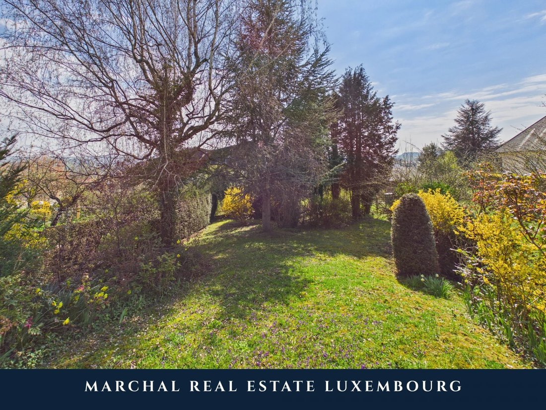 House in Remich, Grevenmacher, Luxembourg 3 - 17473964