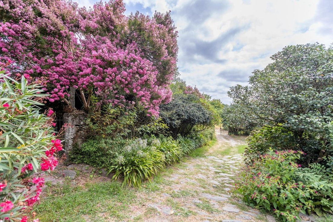 Villa in Vedra, Galicia, Spain 3 - 17474143