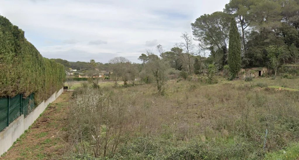Land in Mougins, Provence-Alpes-Côte d'Azur, France 4 - 17471779