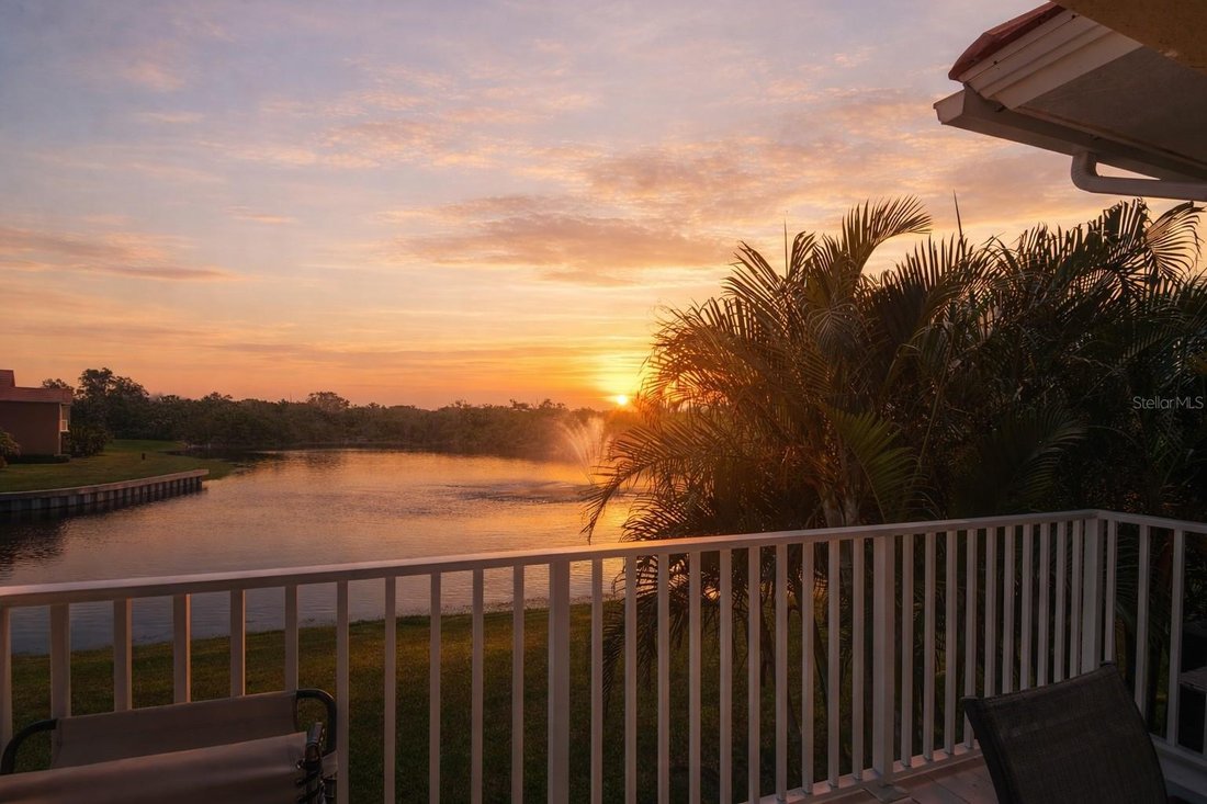 House in St. Petersburg, Florida, United States 1 - 17471713