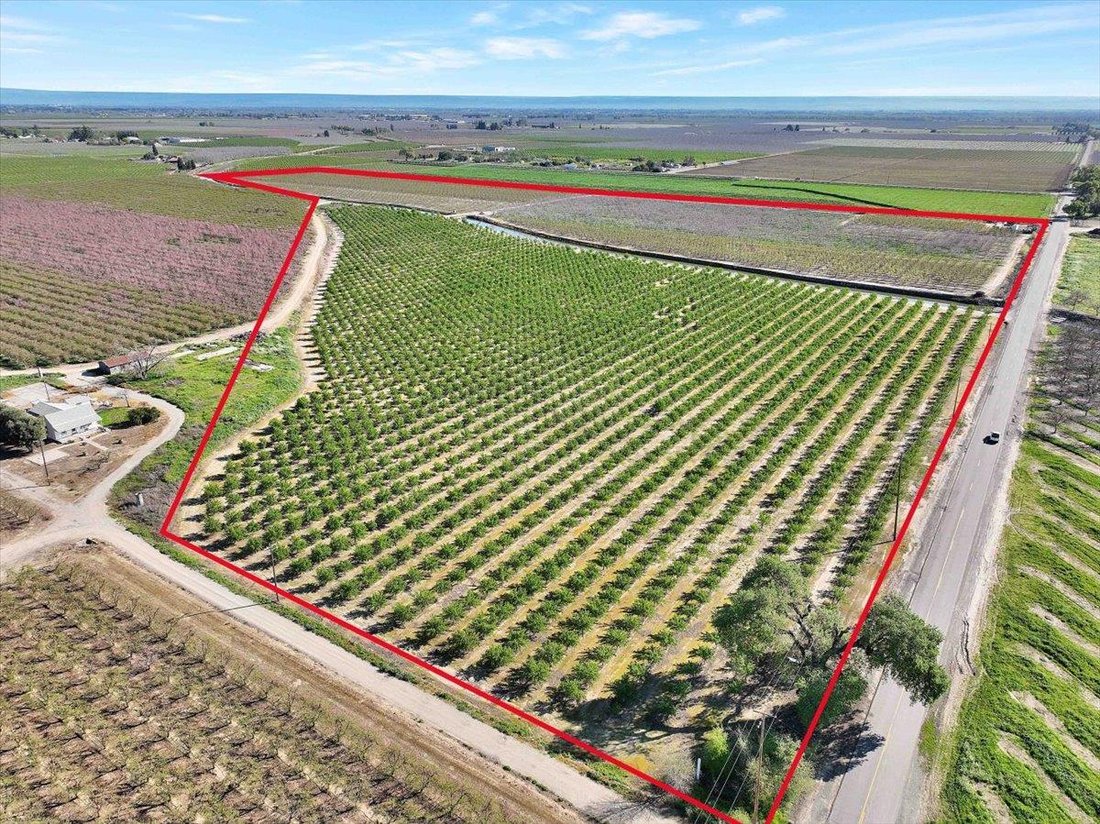 Farm Ranch in Yuba City, California, United States 5 - 17473596