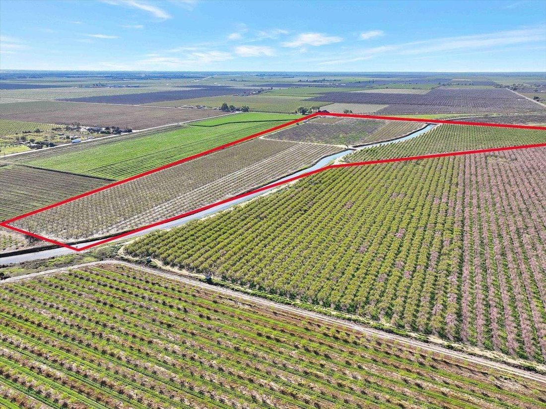 Farm Ranch in Yuba City, California, United States 4 - 17473596