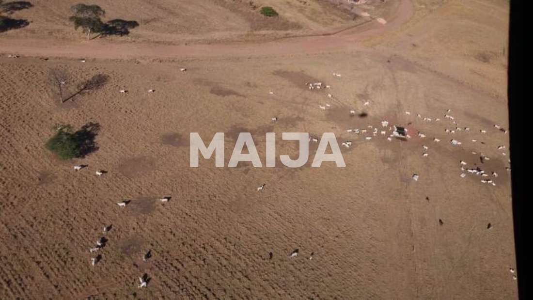 Land in Rio Verde, Brazil 4 - 17473062
