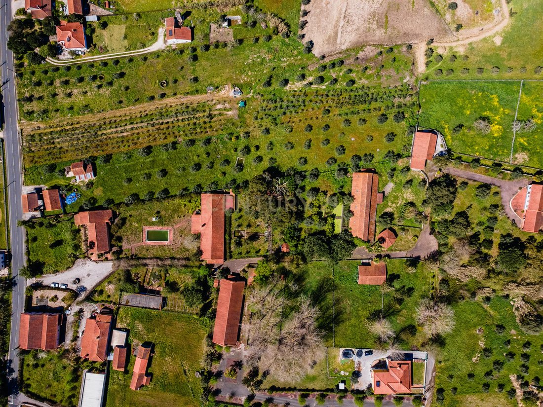Farm Ranch in Gondemaria e Olival, Santarem District, Portugal 5 - 15691048