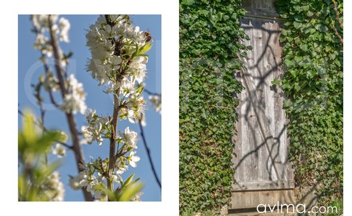 Château Saint Nom La Bretèche 1074.0 Sqm 10 Bedrooms