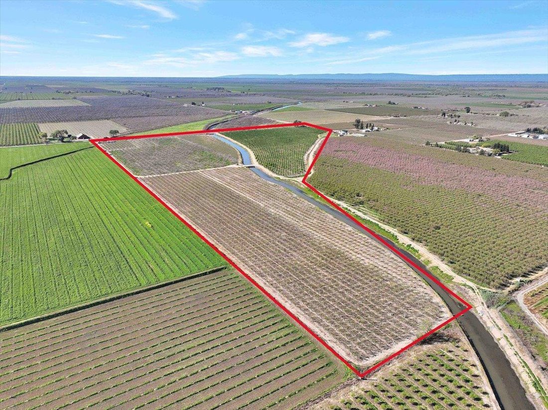 Farm Ranch in Yuba City, California, United States 2 - 17473596