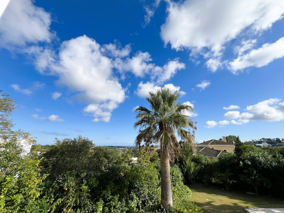 Villa in Sotogrande, San Roque, Andalusia 5 - 17474081