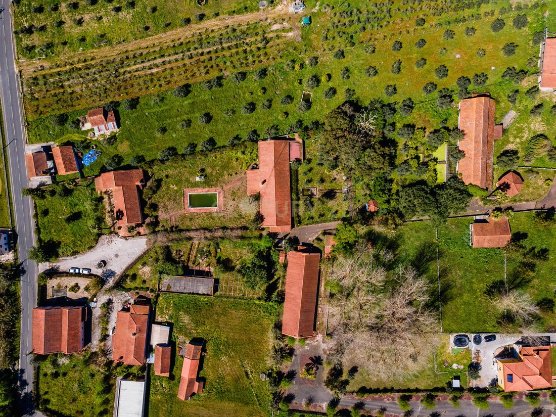 Farm Ranch in Gondemaria e Olival, Santarem District, Portugal 4 - 15691048