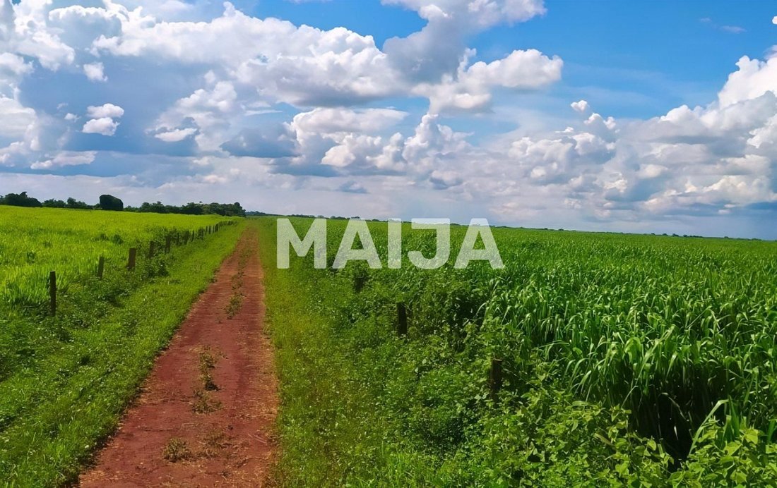 Land in Rio Verde, Brazil 2 - 17473062