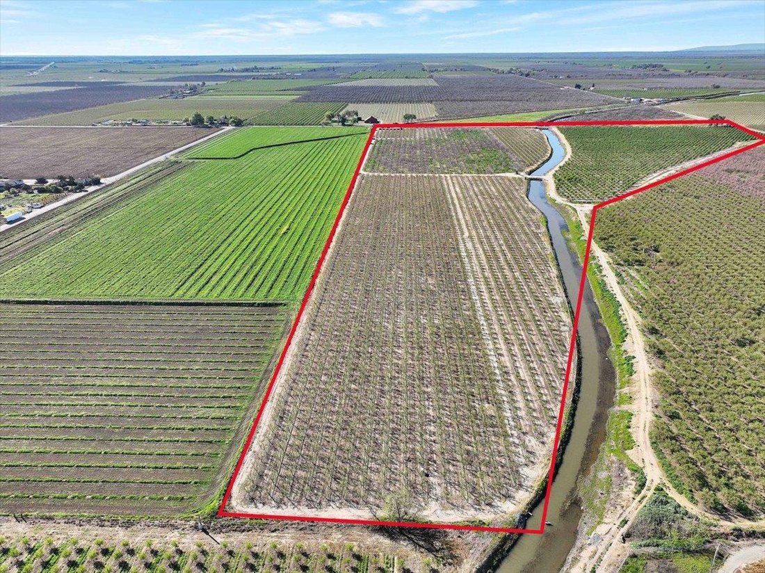 Farm Ranch in Yuba City, California, United States 3 - 17473596