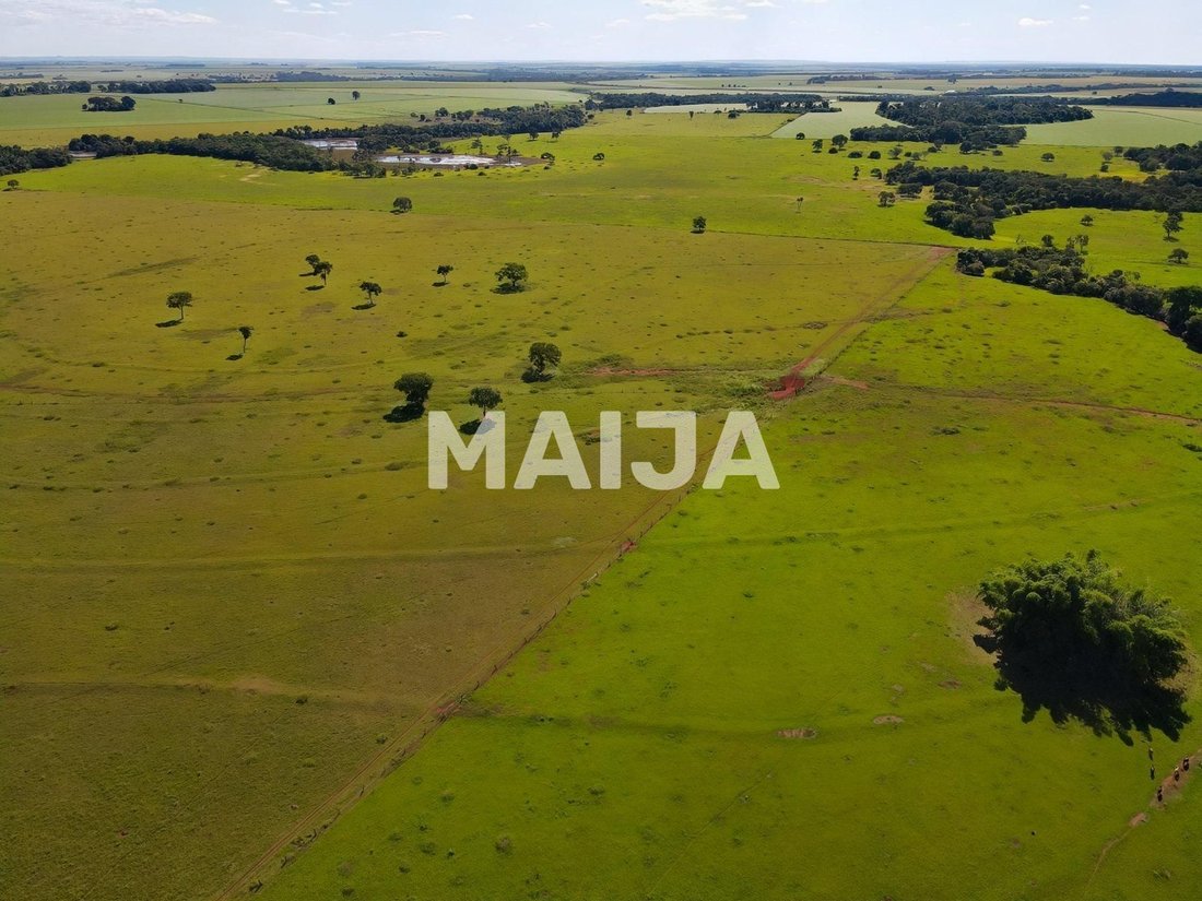 Land in Rio Verde, Brazil 5 - 17473062
