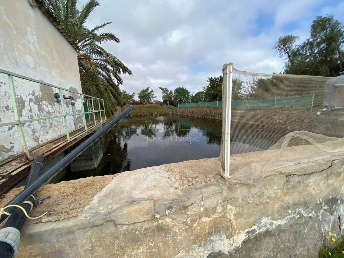 Land in Akouda, Sousse, Tunisia 4 - 17470547
