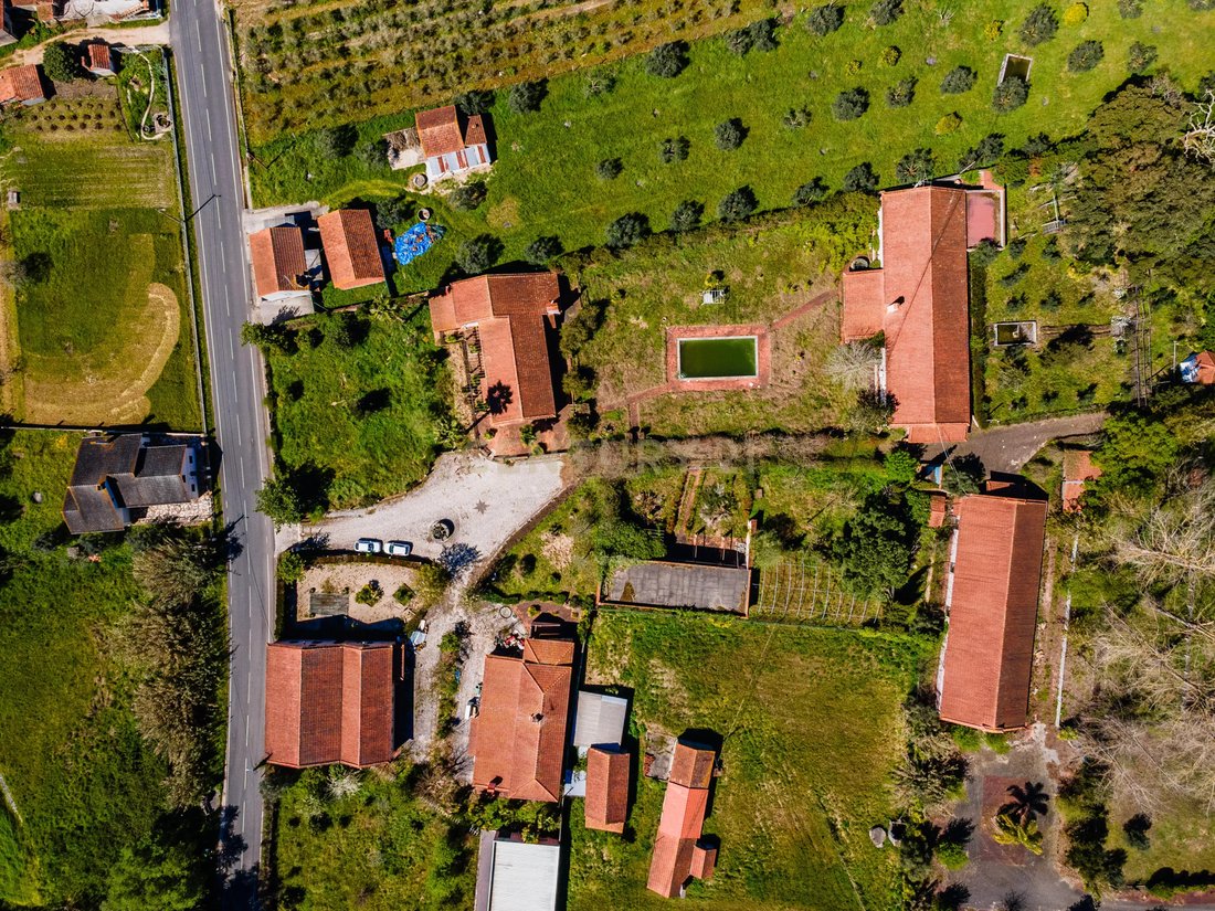 Farm Ranch in Gondemaria e Olival, Santarem District, Portugal 3 - 15691048