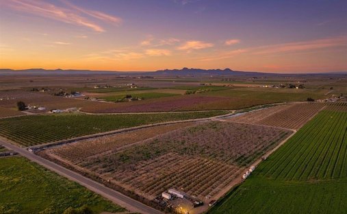 Farm Ranch in Yuba City, California, United States 1