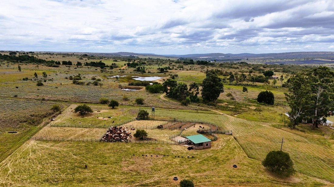 Farm Ranch in Braamfontein, Gauteng, South Africa 3 - 17470929
