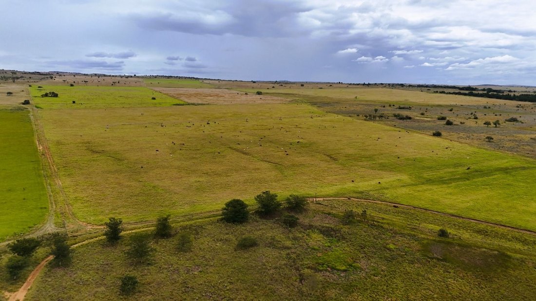 Farm Ranch in Braamfontein, Gauteng, South Africa 4 - 17470929