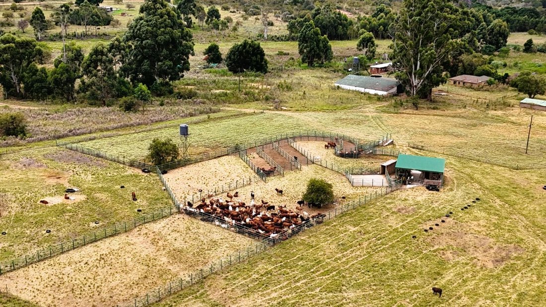 Farm Ranch in Braamfontein, Gauteng, South Africa 5 - 17470929