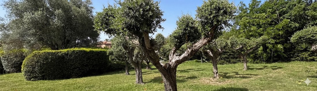 Terreno en Grimaud, Provenza-Alpes-Costa Azul, Francia 1 - 15961490