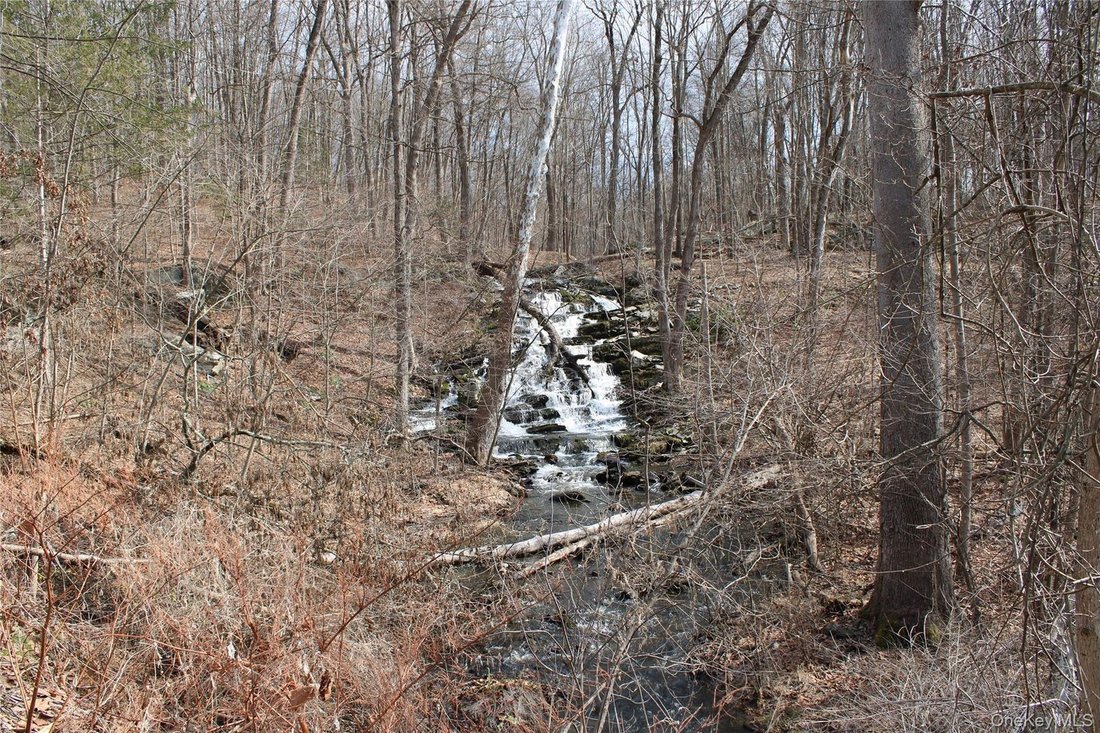 Land in Staatsburg, New York, United States 4 - 17401843