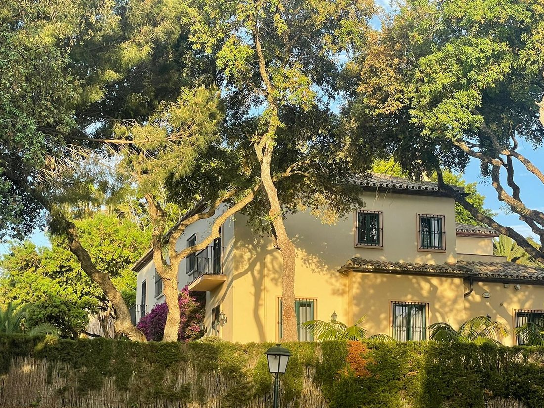 Villa in Sotogrande, San Roque, Andalusia 4 - 17474085
