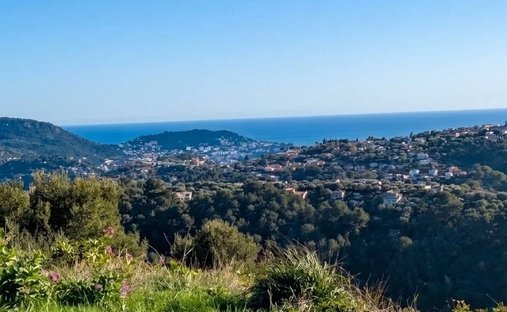 Land in Falicon, Provence-Alpes-Côte d'Azur, France 1