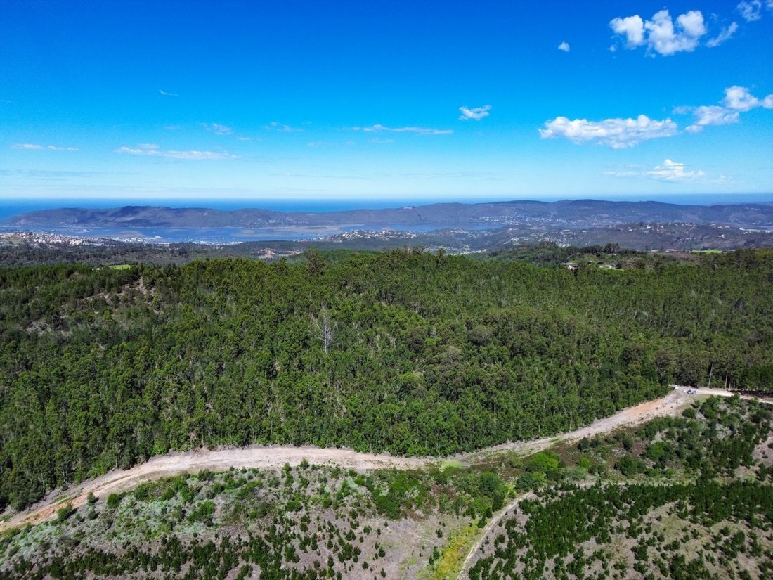Farm Ranch in Knysna, Western Cape, South Africa 4 - 17470912