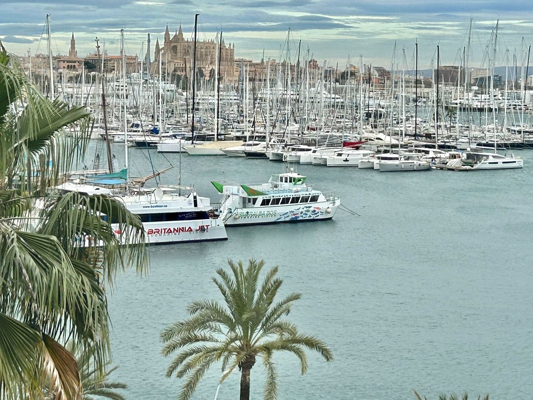 Wohnung in Palma, Balearische Inseln, Spanien 1 - 17474738