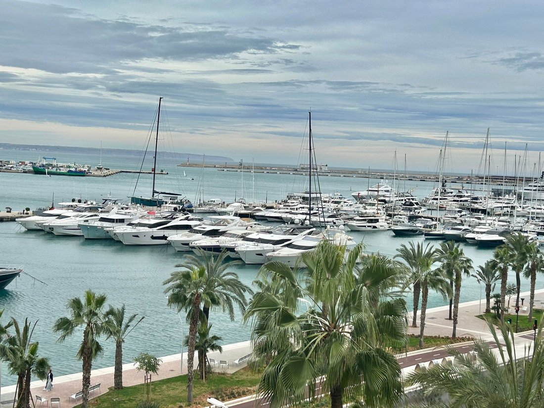 Wohnung in Palma, Balearische Inseln, Spanien 2 - 17474738