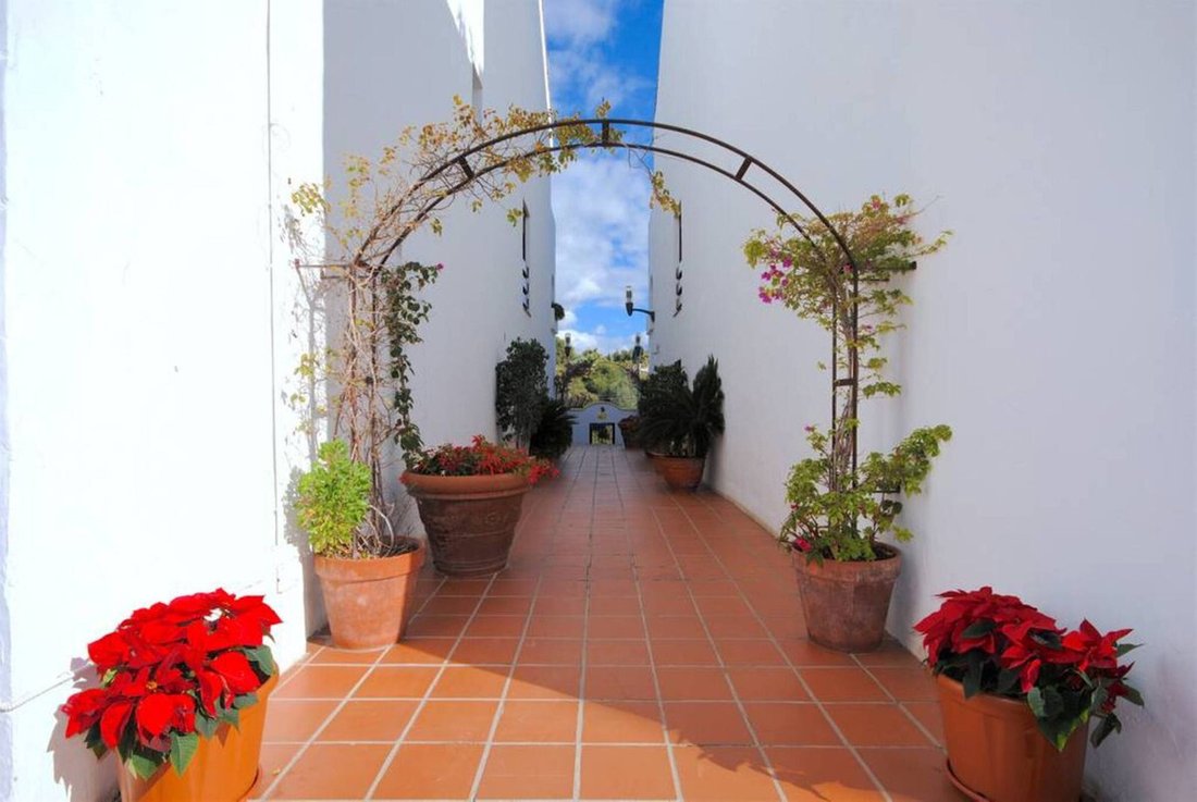 Apartment in Teatinos-Universidad, Malaga, Spain 5 - 17472194