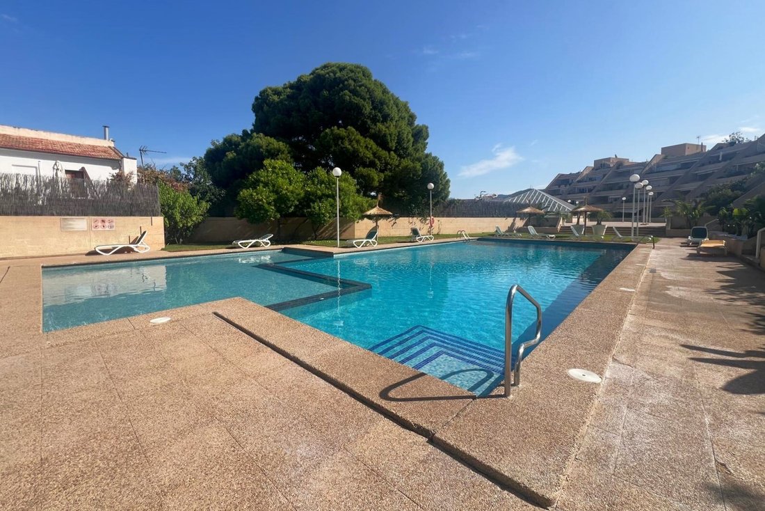 Apartment in Port d'Andratx, Andratx, Balearic Islands 3 - 17474487
