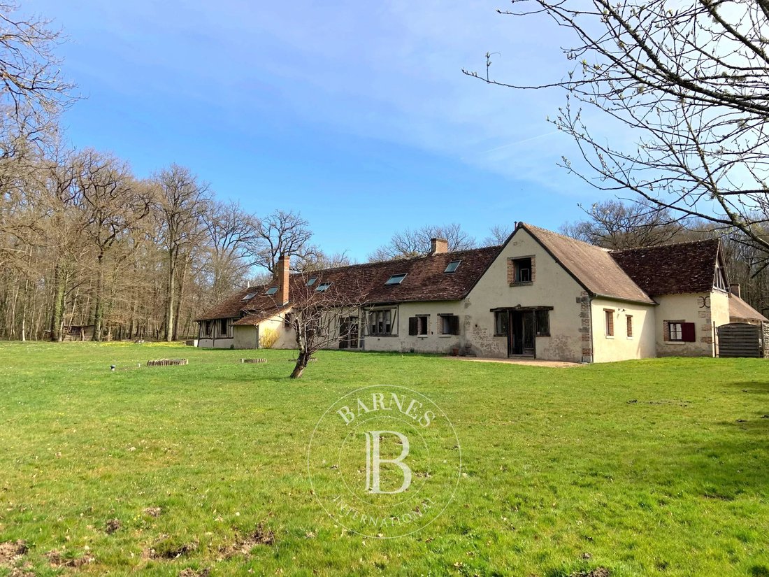 Country House in Cheverny, Centre-Val de Loire, France 4 - 17470529