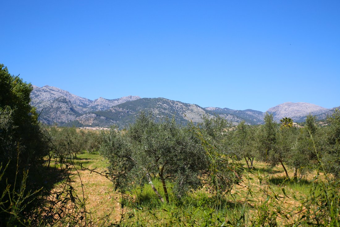 Country House in Selva, Balearic Islands, Spain 2 - 17474412