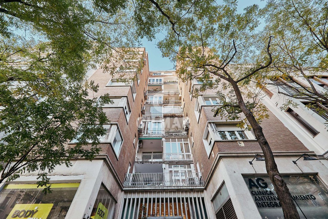 Apartment in Barrio Salamanca, Madrid, Spain 1 - 16329234