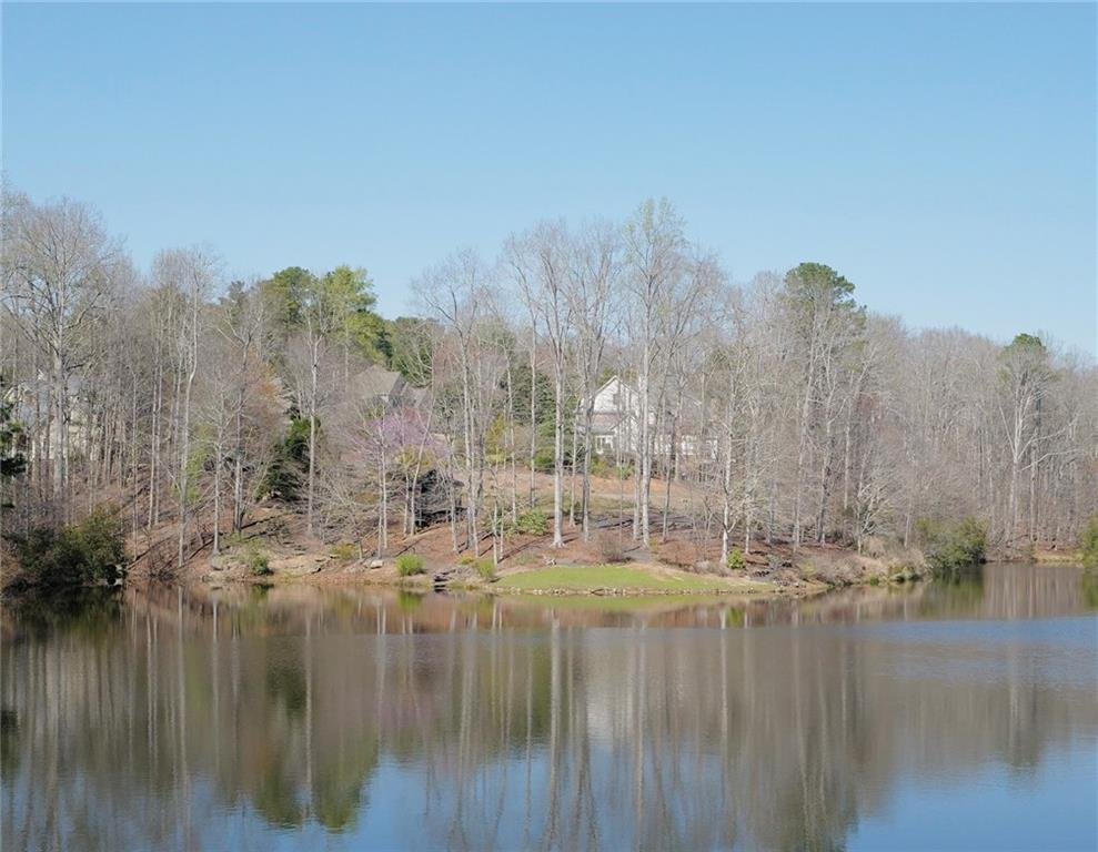 Land in Roswell, Georgia, United States 5 - 17473628